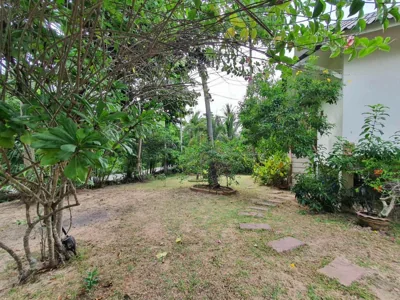 Niniari House – Fotos 10