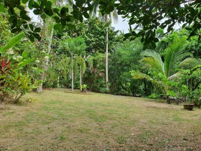 Niniari House – Fotos 11